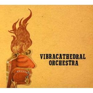 Vibracathedral Orchestra - Wisdom Thunderbolt  CD